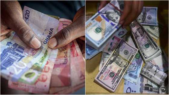 Cedi's woes resume: Falls by 11.21% and projected to reach GH¢15 to $1 by end of 2023