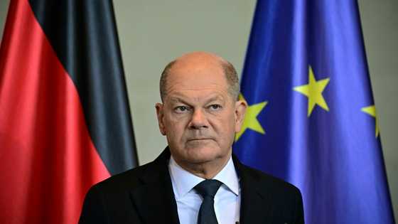 Germany slams Trump tariffs, US tech titans in crosshairs