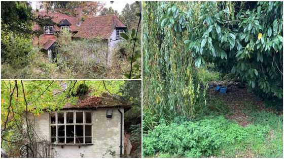 400-year-old house filled with rats, rabbits and mice sold online for GHc6.2million