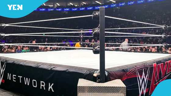 WWE legend dies after private battle with several health issues