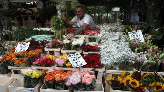 Florists prepare for soaring sales ahead of queen's funeral