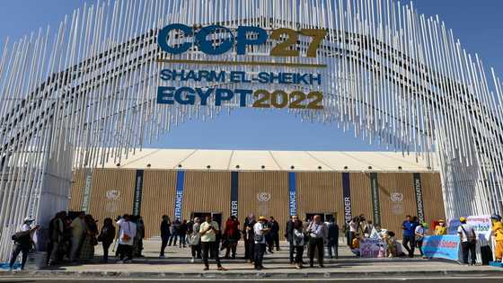 UN climate summit opens with warning against 'backsliding'