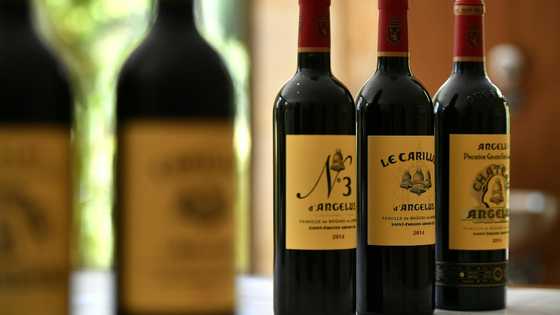 Bordeaux wine harvest drops to lowest level since 1991