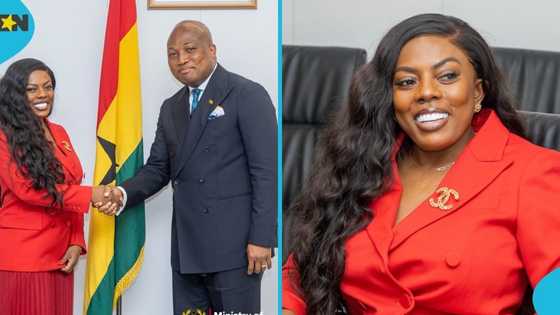 Nana Aba Anamoah’s visit to Okudzeto Ablakwa’s office sparks outrage from NDC supporters