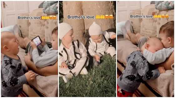He learnt lesson: Older kid 'deals' with little brother for hitting him, he weeps in viral video, many react