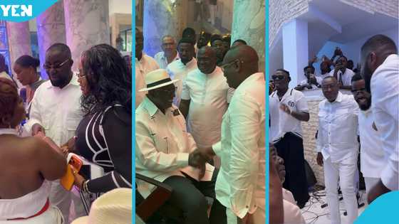 Videos drop as Kufuor, Bawumia, McBrown, Dumelo, Stonebwoy, Efia Odo, RNAQ, others celebrate Ofori Sarpong