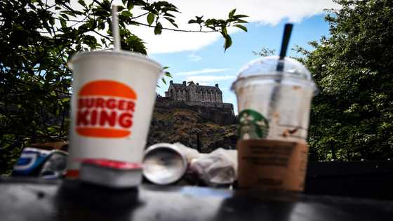 Auld reekie: Edinburgh bin strike leaves a bad smell