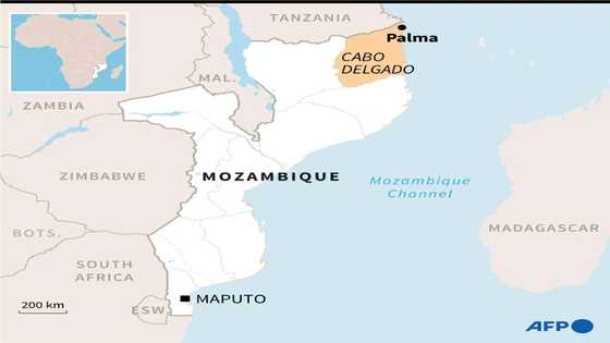 Total CEO expected in Mozambique after gas project halted