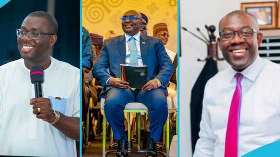 2028 flagbeaer race: Some NPP MPs declare support for Bawumia