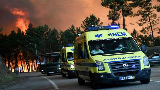 Portugal awaits verdict in homicide trial, 5 years after worst wildfire