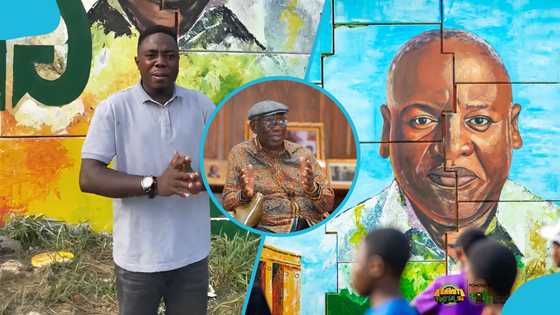 Ghanaian man speaks against Mahama's Mural at Asokwa interchange: "Paint Kufuor's image there"