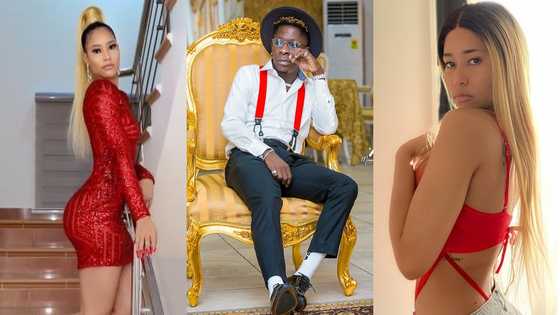 Meet Shatta Wale's new beautiful obroni 'girlfriend' who is a big-time video vixen