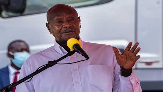 Museveni apologises over son's Twitter rant on Kenya