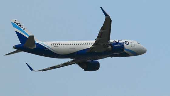 Airbus and Boeing eye India's 'soaring skies'