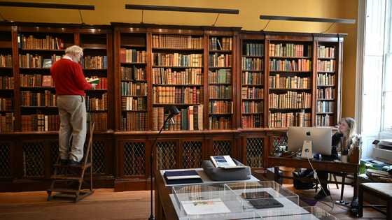 Rare 'Don Quixote' editions sold in UK go up for auction