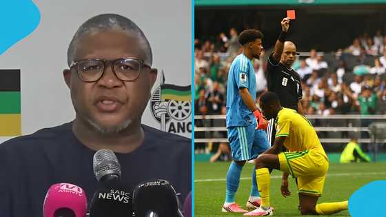 Fikile Mbalula hits back at African countries over hatred directed at Bafana Bafana