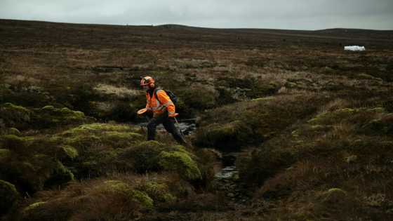 'More important than rainforests': UK pioneers peat partnership
