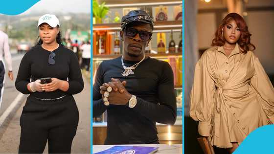 "I bought a $65k house for Michy": Shatta Wale discloses properties he's got for his baby mamas