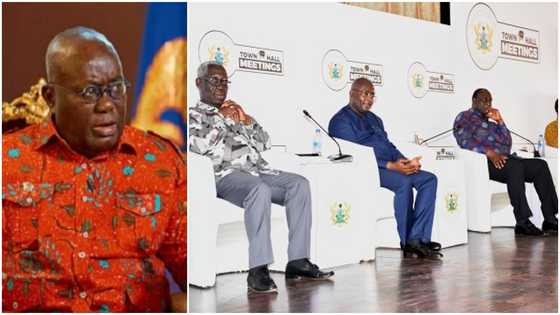 “I don’t know where they got their PhDs from” – Businessman mocks Akufo-Addo’s ministers