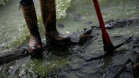 Oil-tainted lake a symptom, and symbol, of Venezuela's collapse
