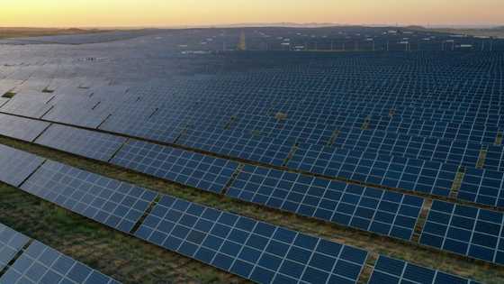 Renewables overtake coal but growth slows: reports