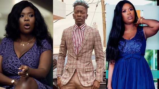 Delay rains praises on Shatta Wale; calls him a king on his throne