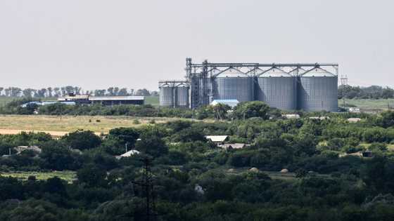Large part of Ukraine grain storage lost in war: report