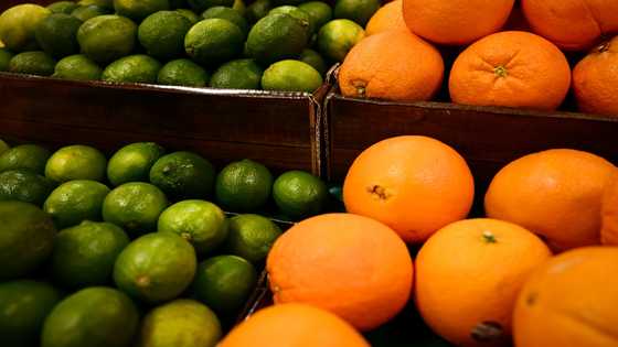 Higher US food prices lead to a shift in shopping habits