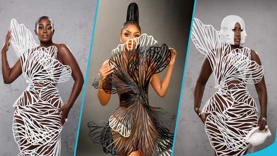 Chioma Goodhair draw inspiration from Nana Akua Addo's AMVCA look, photos trend: "She slayed"