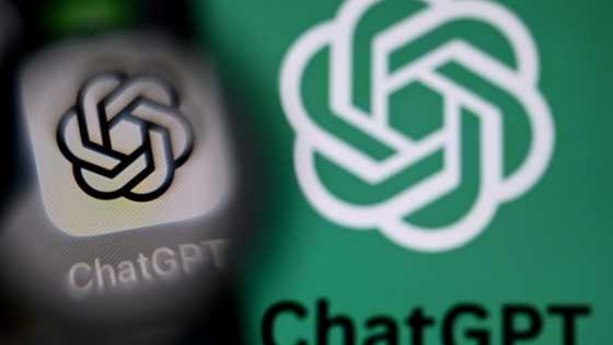 Will OpenAI be the next tech giant or next Netscape?