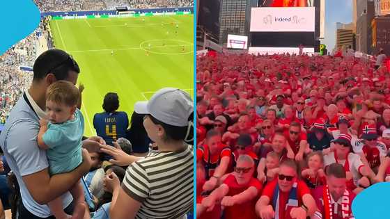 A proposal gone wrong, Dabo's John Telly video and more best World Cup viral fan moments, details