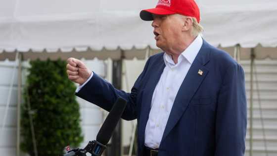 Trump says will 'take a look' at deporting Musk