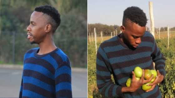 Man brags after buying bae iPhone; social media users descend on him