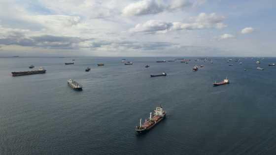Ukraine grain exports resume in Black Sea