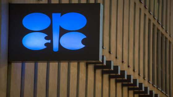Angola departure a blow for OPEC+ as cartel tensions rise
