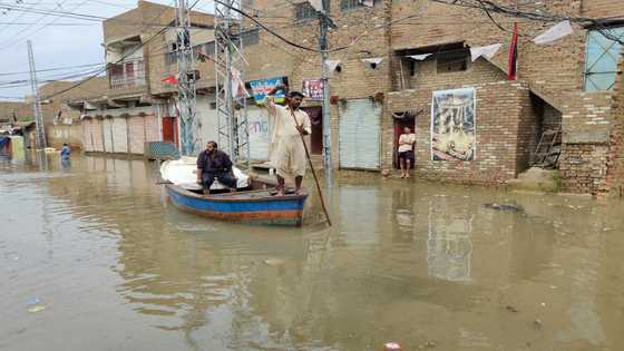 Flood toll tops 800 in Pakistan's 'catastrophe of epic scale'