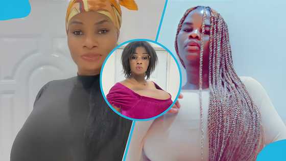Pamela Watara shakes the internet as she jiggles her heavy chest to Stonebwoy's song