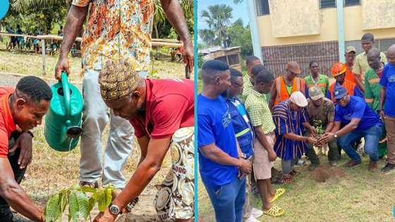 Volta’s forests under siege: Tree planting drive takes aim at bushfires and land encroachment