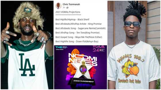 Black Sherif to sweep 6 awards at 24VGMA, Entertainment pundits predicts full list of winners