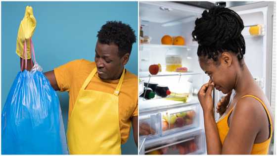 4 Home Solutions to Prevent Homes From Smelling Bad