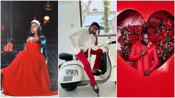 Asantewaa, Made In Ghana, other TikTok stars who stunned fans with Val's day photos