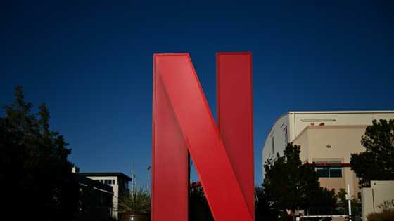 Netflix profits surge off ads, higher subscription prices