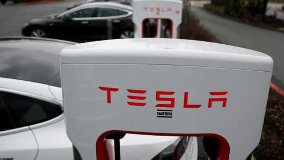 Trump suggests Tesla vandals be jailed in El Salvador