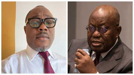 Reduce size of your elephant-size gov't now - Prof Gyampo advises Akufo-Addo in open letter