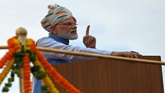 Mechanical elephants, homemade howitzers as India turns 75
