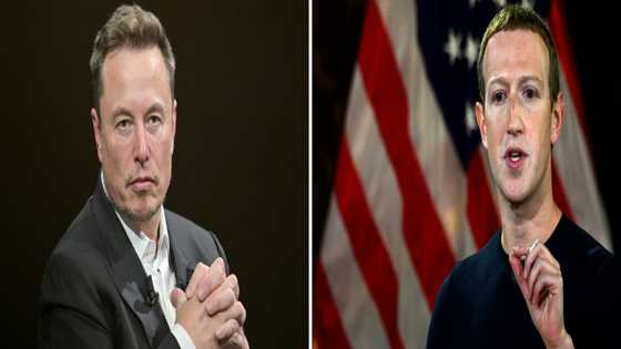 Musk and Zuckerberg call out each other for cage fight