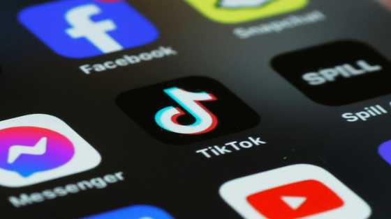 China says US TikTok vote follows 'logic of a bandit'