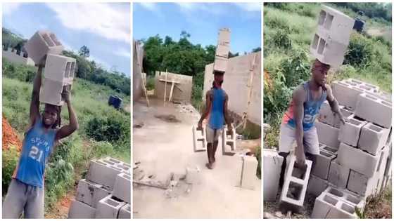 Hustler carries 5 bricks at once in a show of great strength; viral video sparks mixed reactions