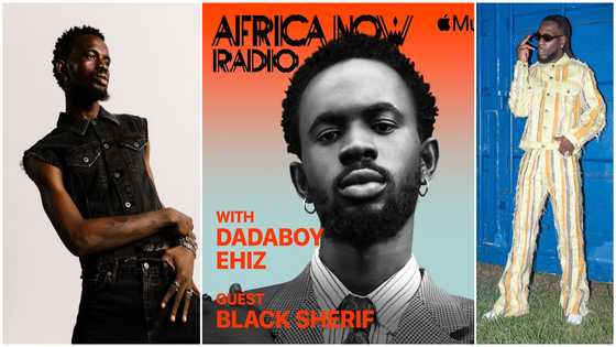 Black Sherif's The Villain I Never Was: Why Burna Boy Is the Only Artist Featured on the Album