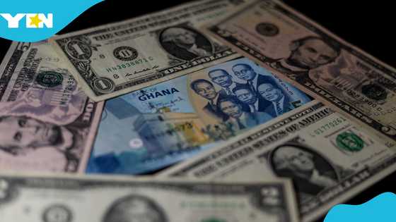 Forex analyst explains new normal for the cedi as people consider hoarding dollars